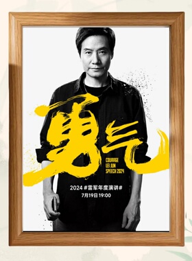 雷军励志相框摆台办公室