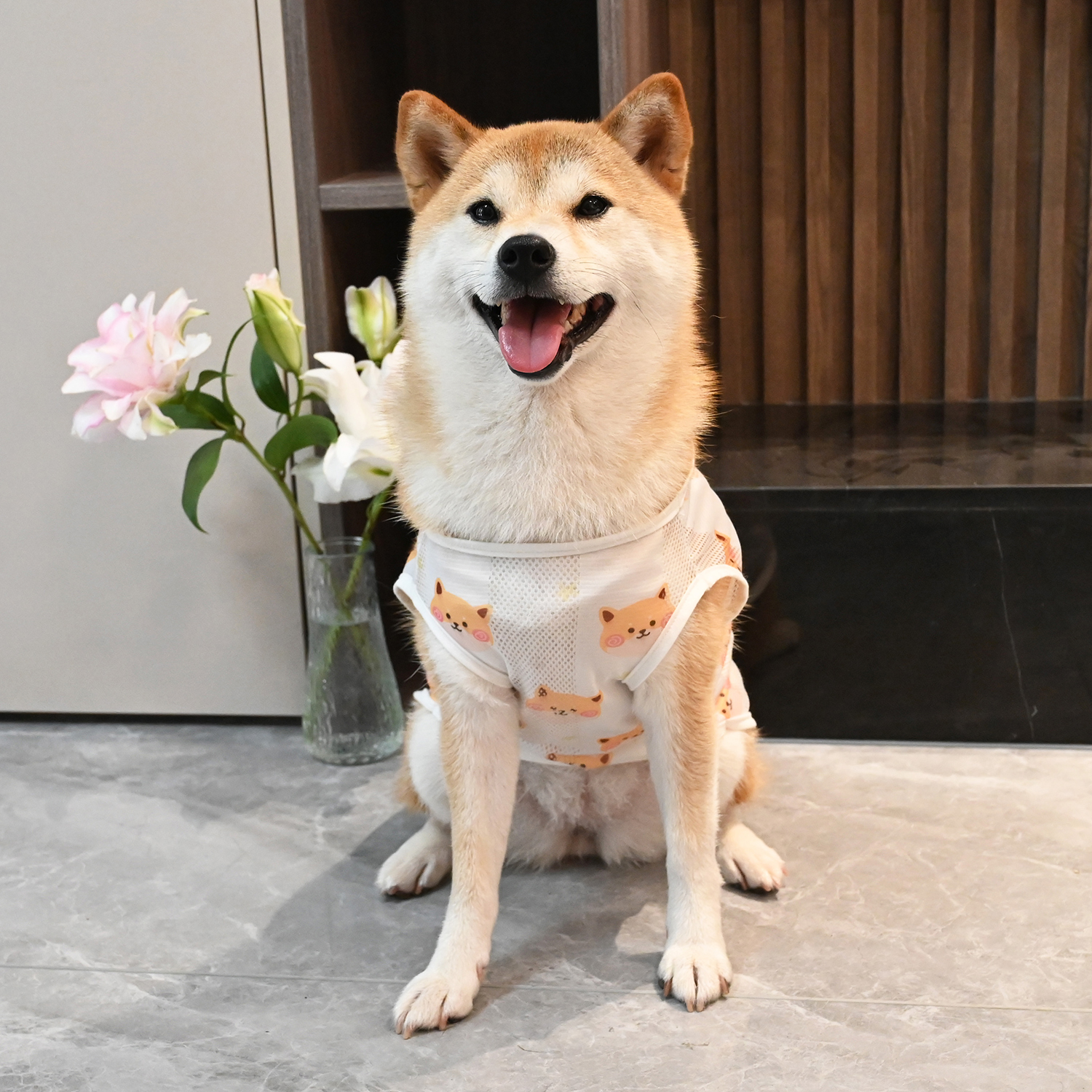 宠物狗狗衣服薄款四季春夏季泰迪柯基柴犬衣服防掉毛清凉透气背心 - 图0