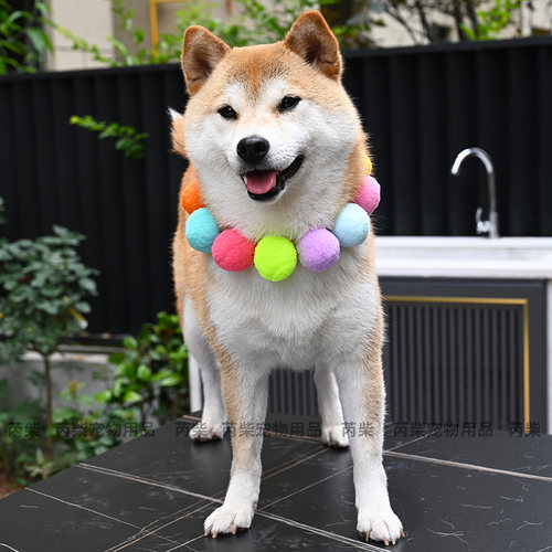 网红抖音同款宠物狗狗猫咪柴犬大型犬毛球项链彩虹糖果色脖圈饰品 - 图0