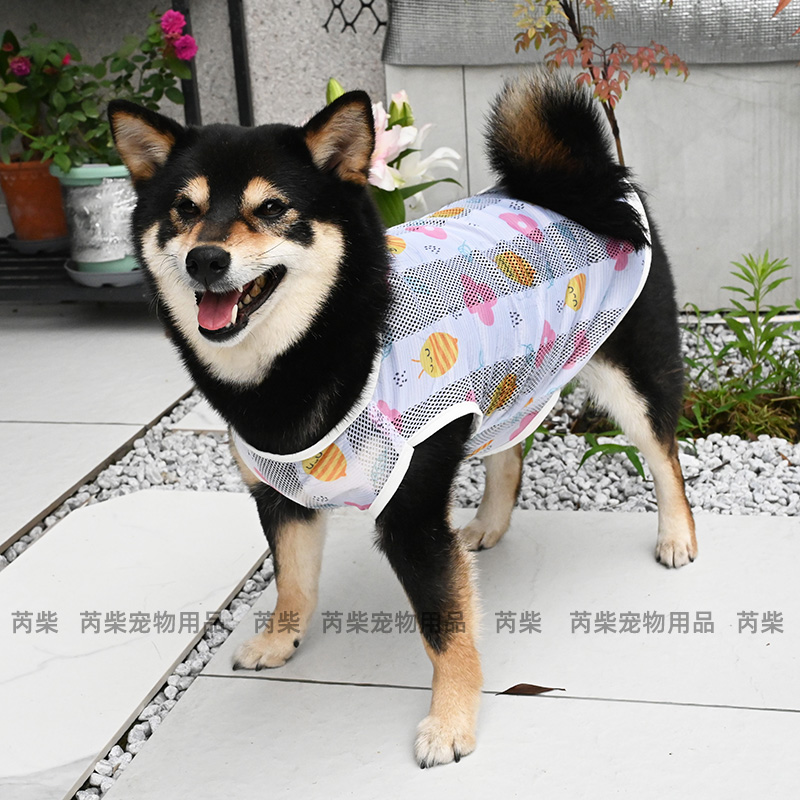 宠物狗狗衣服薄款四季春夏季泰迪柯基柴犬衣服防掉毛清凉透气背心 - 图1