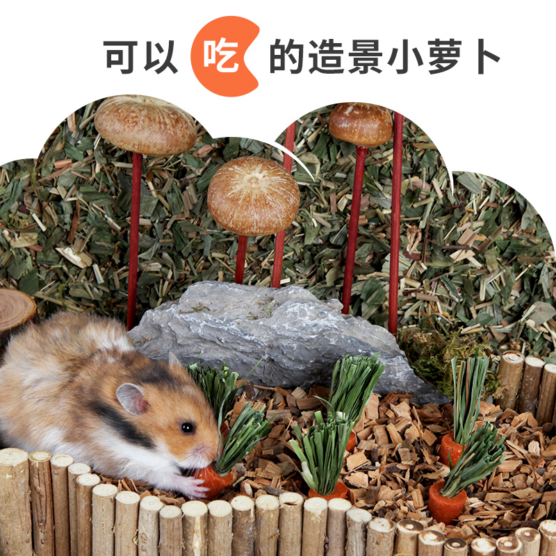 布卡星小仓鼠磨牙棒胡萝卜饼干造景用品可食用玩具金丝熊兔子零食 - 图1