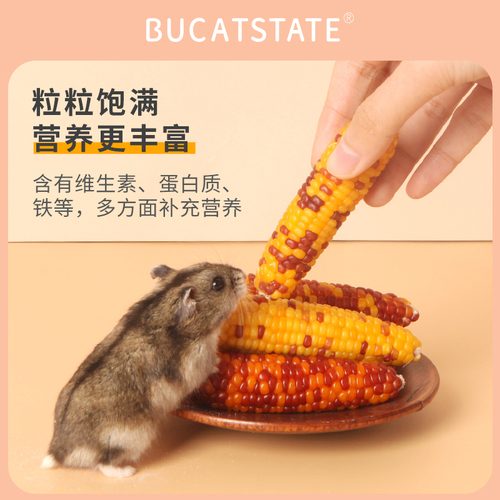 布卡星小仓鼠磨牙棒零食玉米棒金丝熊营养粮食兔子可食用造景用品