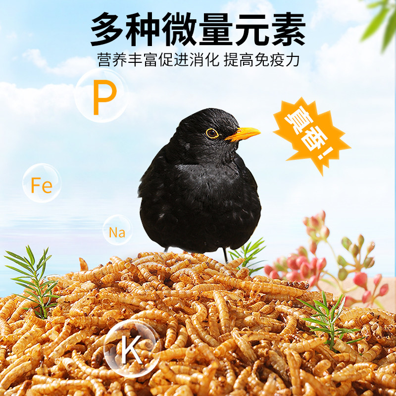 布卡星八哥面包虫干专用鸟粮乌龟刺猬仓鼠零食用品芦丁鸡鸟食饲料,淘宝优惠券,粉丝福利购,淘宝优惠卷