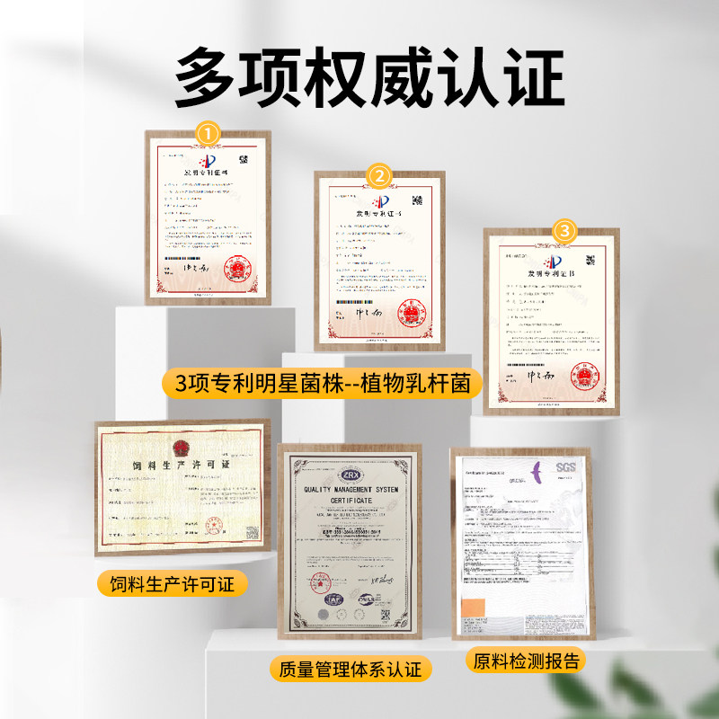 布卡星元气龟粮乌龟饲料草龟鳄龟通用大颗粒巴西龟食小幼龟专用粮,淘宝优惠券,粉丝福利购,淘宝优惠卷