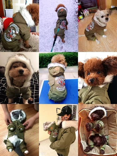 Одежда для собак, чем медведь плюшевые боми снежные маленькие и маленькие домашние животные осень осень и зимние кошки густая одежда