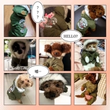 Одежда для собак, чем медведь плюшевые боми снежные маленькие и маленькие домашние животные осень осень и зимние кошки густая одежда