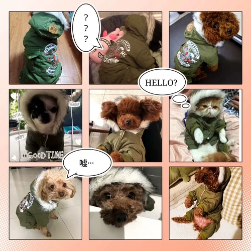 Одежда для собак, чем медведь плюшевые боми снежные маленькие и маленькие домашние животные осень осень и зимние кошки густая одежда