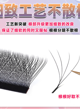 四叶草睫毛细软不散根B/C/D翘