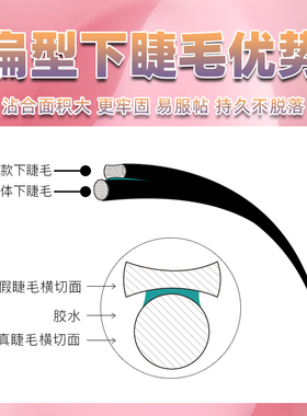 下睫毛嫁接双毛尖扁毛超柔软