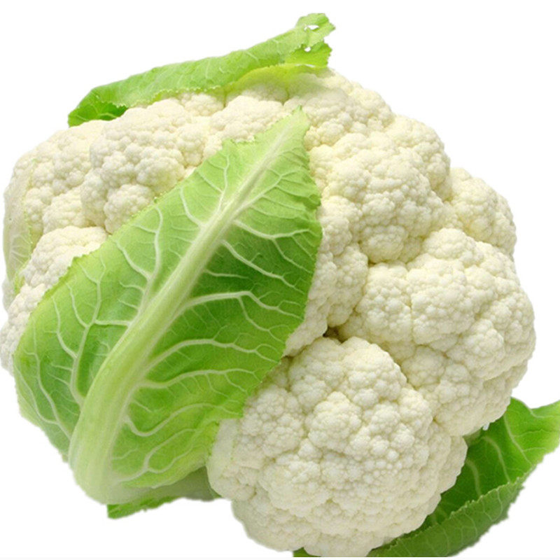 白菜花种子紧实白花椰菜种籽秋季蔬菜种孑高产种菜老品种花菜菜籽,淘宝优惠券,粉丝福利购,淘宝优惠卷