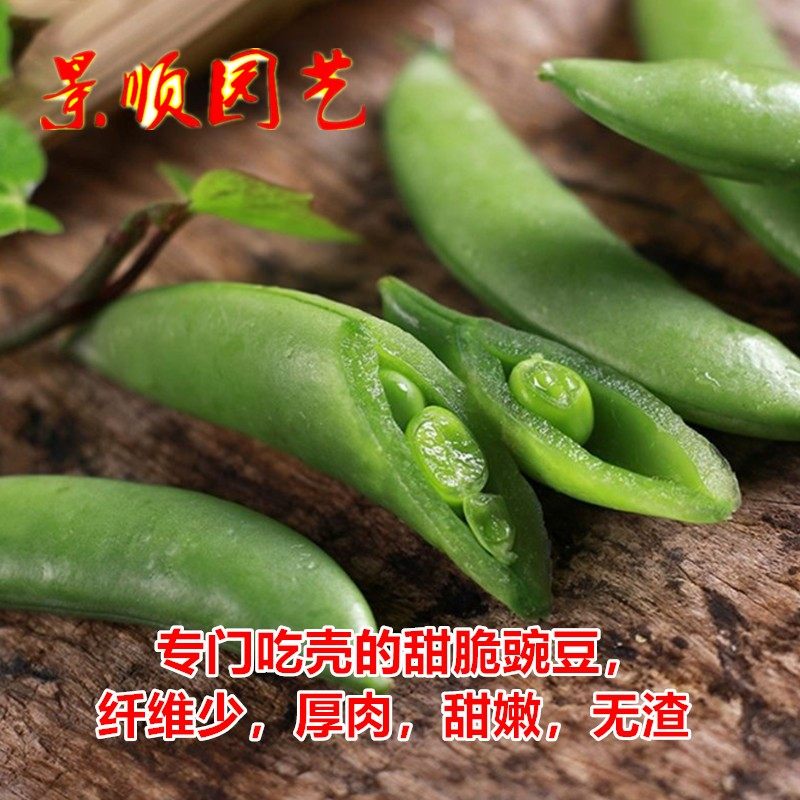 奇珍甜脆豌豆种子水果型吃壳厚肉甜豆荷兰豆籽秋季播阳台蔬菜种孑,淘宝优惠券,粉丝福利购,淘宝优惠卷