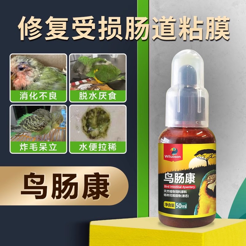 鹦鹉鸟拉稀药专用玄凤虎皮水绿便肠炎鹦鹉常用品预防鸟用药大全 - 图2