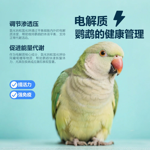 鹦鹉专用电解质益生菌粉鸟用电解多维质虎皮牡丹玄凤营养水鸟拉稀 - 图1