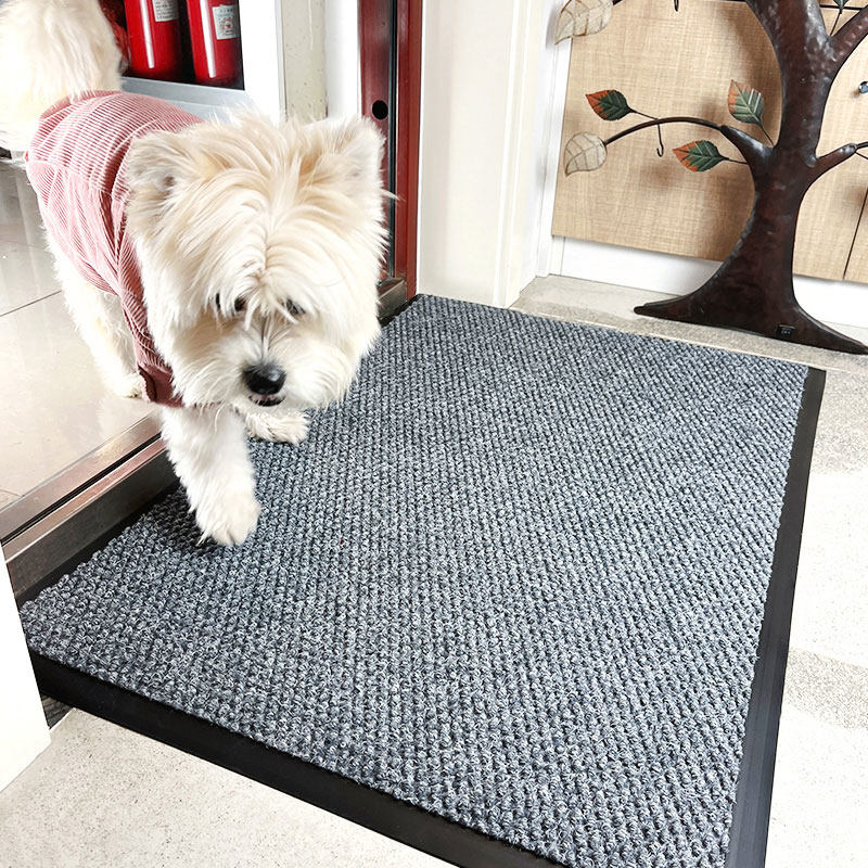 红色入户门地垫入门高级防滑门垫家用门口地毯门外大门脚垫室外,淘宝优惠券,粉丝福利购,淘宝优惠卷