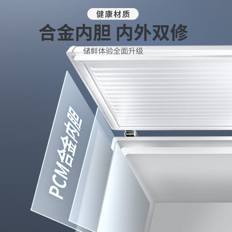 Aucma/澳柯玛 BC/BD-202NE 200L家用小冷柜卧式冷冻冷藏冰柜微霜 - 图0