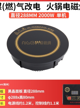 韩式电磁炉燃煤灶气改电火锅桌商