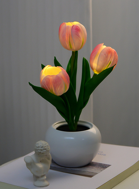 众盟小夜灯田园风卧室装饰摆件