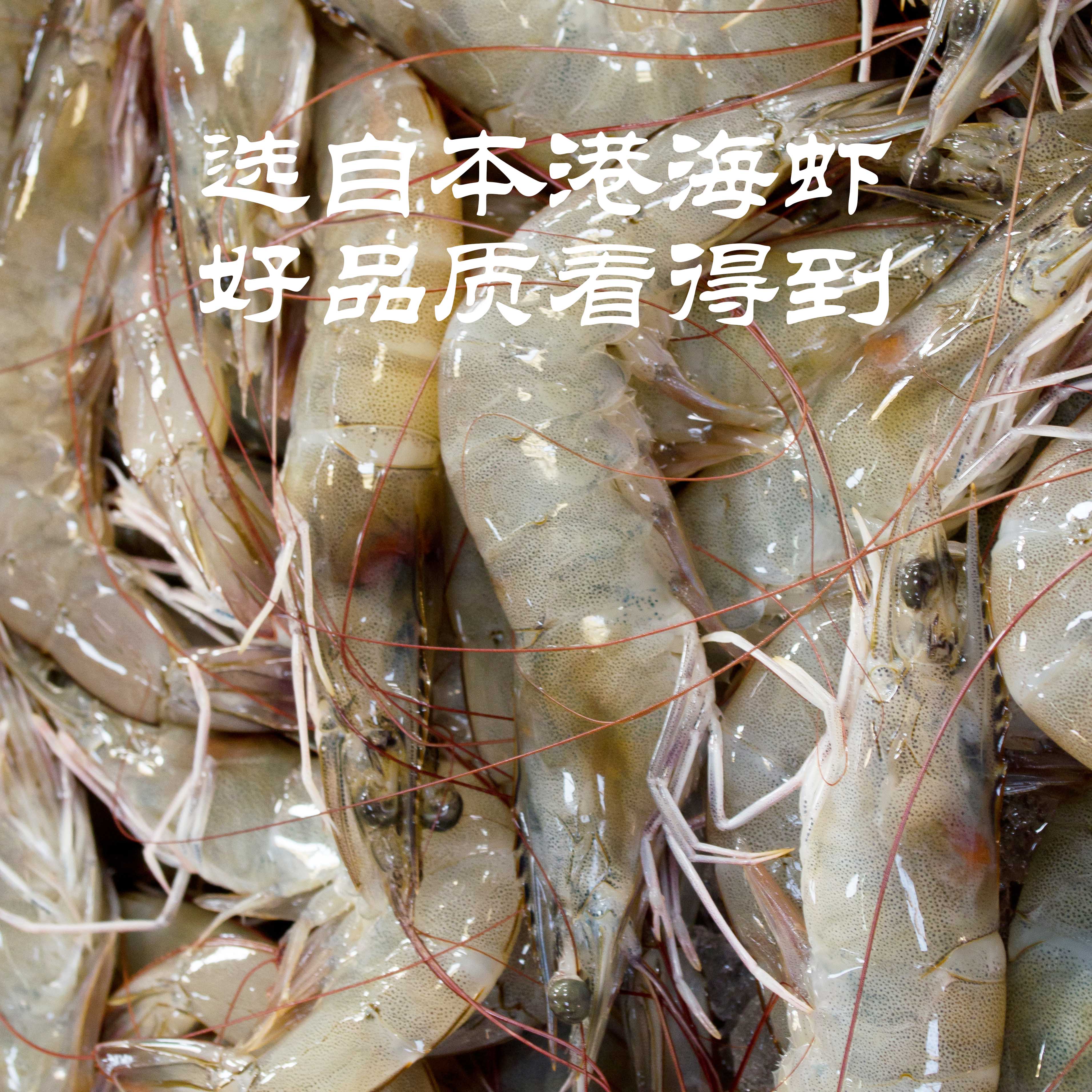 德裕隆潮汕鱼饭非遗老字号传统鲜虾熟虾饭即食低脂新鲜方便食材 - 图0