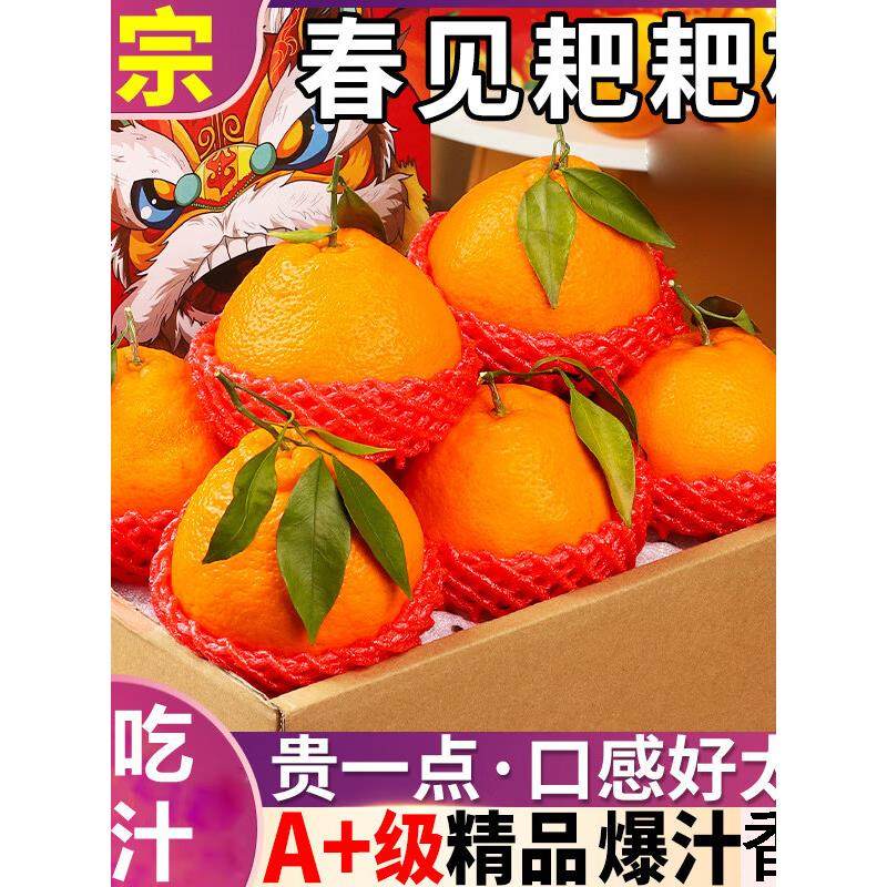 顺丰包邮四川春见耙耙柑纯甜化渣孕妇新鲜水果现摘农产品净果10斤,淘宝优惠券,粉丝福利购,淘宝优惠卷