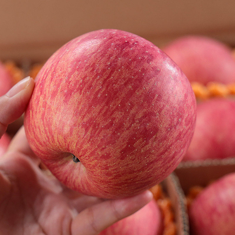 正宗陕西洛川苹果新鲜水果孕妇脆甜红富士一级果整箱延安顺丰包邮,淘宝优惠券,粉丝福利购,淘宝优惠卷