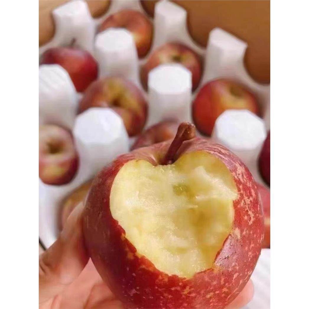 正宗冰糖心丑苹果现摘云南昭通新鲜水果红富士野苹果绍通红露当季,淘宝优惠券,粉丝福利购,淘宝优惠卷