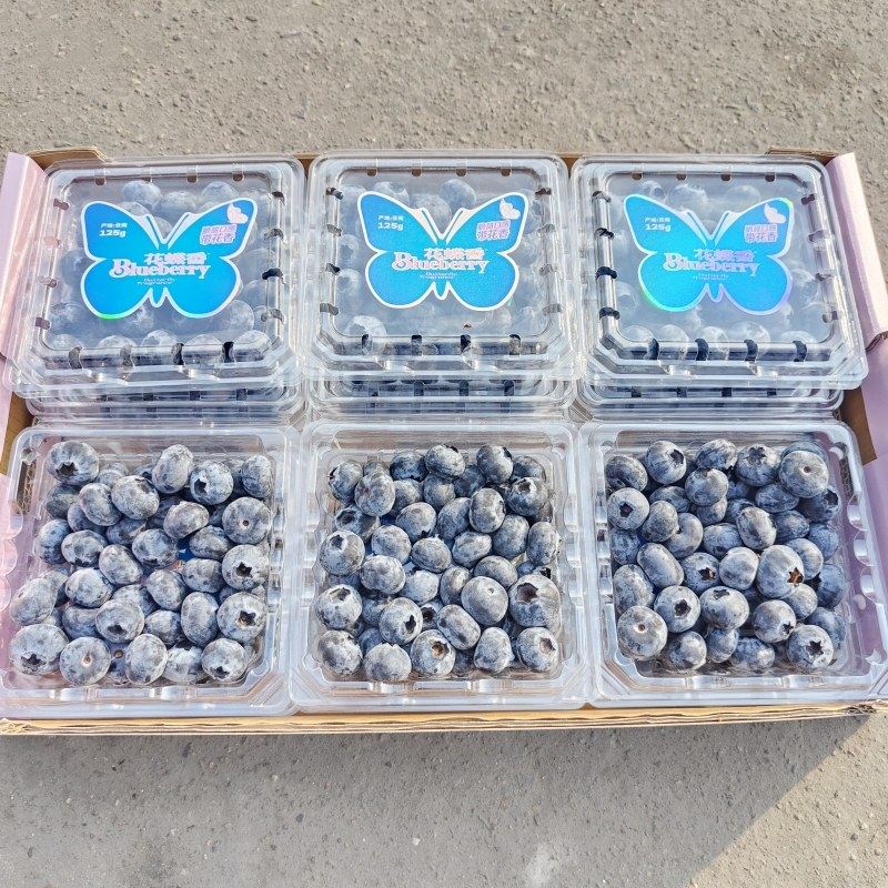 云南花蝶香蓝莓鲜果原箱礼盒12盒大果当季新鲜水果脆甜多汁包邮,淘宝优惠券,粉丝福利购,淘宝优惠卷