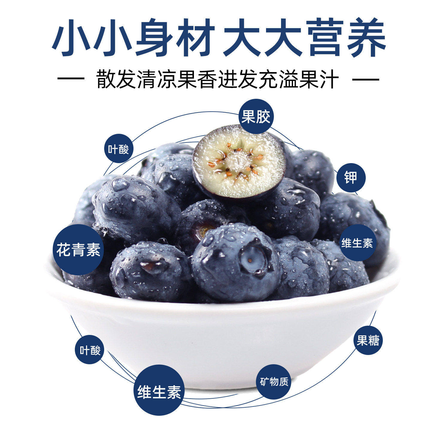 高山云南蓝莓新鲜水果鲜果高端当季现摘花香怡颗蓝梅整箱包邮大果,淘宝优惠券,粉丝福利购,淘宝优惠卷