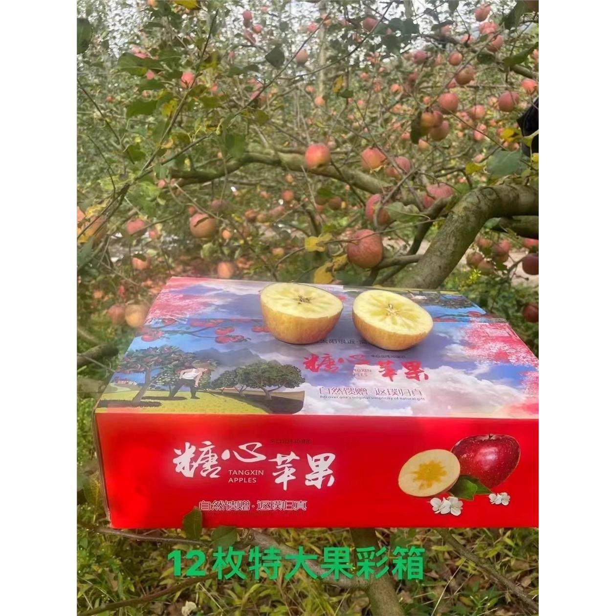 红苹果四川汉源本地红富士丑苹果高山冰糖心苹果应季新鲜孕妇水果,淘宝优惠券,粉丝福利购,淘宝优惠卷