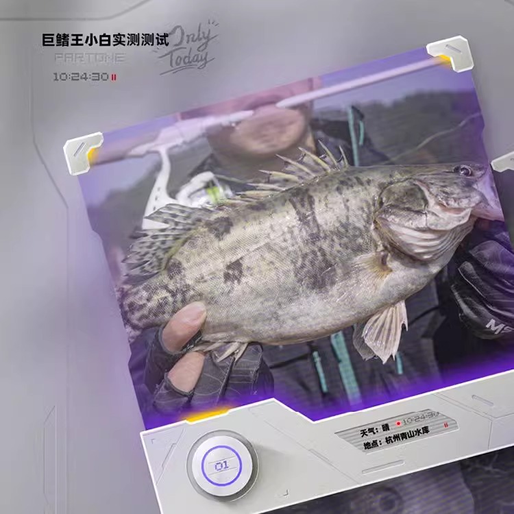 小白杆路亚入门套装海钓碳素路亚竿新手套装全套直柄枪柄鱼竿 - 图2