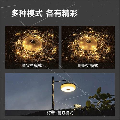 Portable String ghts Ambient Camping ghts 10m Strip ghts 5 G - 图0