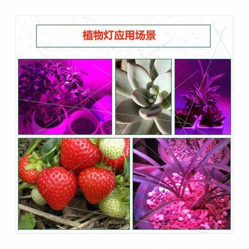 LED plant flood light 5730smd 6000lm full spectrum high powe - 图3