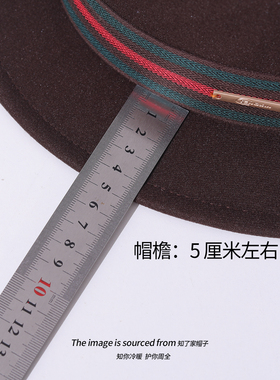 紫色凹凸顶毛呢礼帽英伦复古男女同款绅士秋冬保暖时尚爵士帽子
