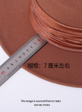网红ins英伦复古毛呢大檐礼帽女秋冬百搭显脸小气质平顶帽毛毡帽