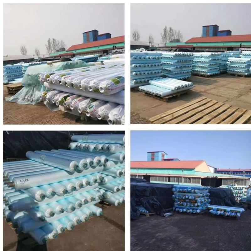 塑料布加厚透明防水雨布遮盖封窗装修防尘防潮铺车底薄膜大棚膜,淘宝优惠券,粉丝福利购,淘宝优惠卷