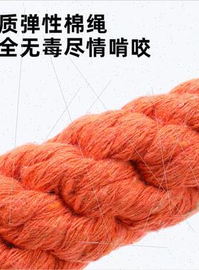 Pet teething toys rope knot dog self hi toys braided carrot