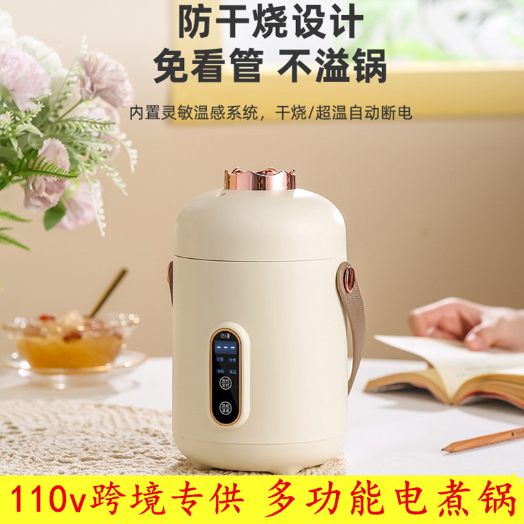 新品110v小家电智能小电炖锅煮粥神器多功能迷你便携式煲汤熬粥养 - 图0