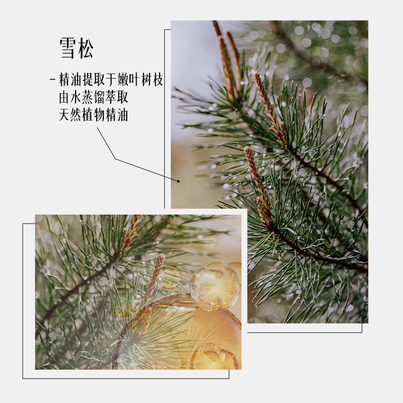 原必要商城LORDLY雪松精油清爽护发素升级款拯救毛躁秀发柔顺自然,淘宝优惠券,粉丝福利购,淘宝优惠卷