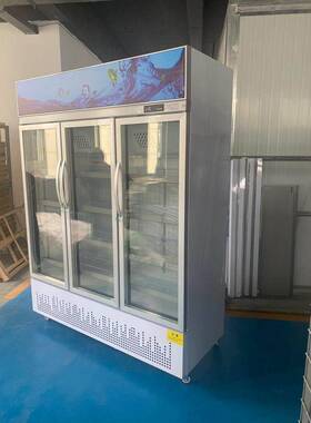 锅圈冷冻柜展示柜保鲜柜立式双门三门商用饮料冷饮蔬菜水果
