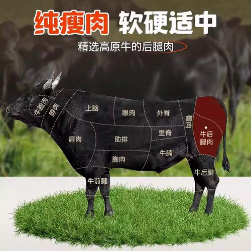 内蒙古风干牛肉干特产手撕牛肉干减低肥脂解馋小零食休闲小吃食品 - 图1