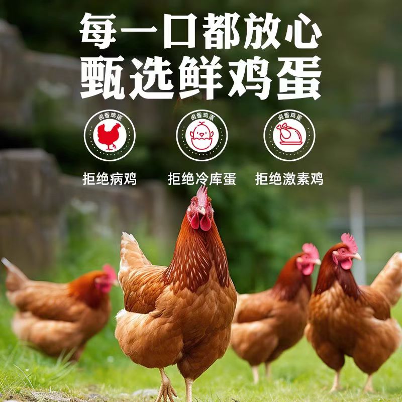 正宗乡巴佬卤蛋吧即食茶叶蛋官方旗舰店五香盐焗鸡蛋零食整箱批发