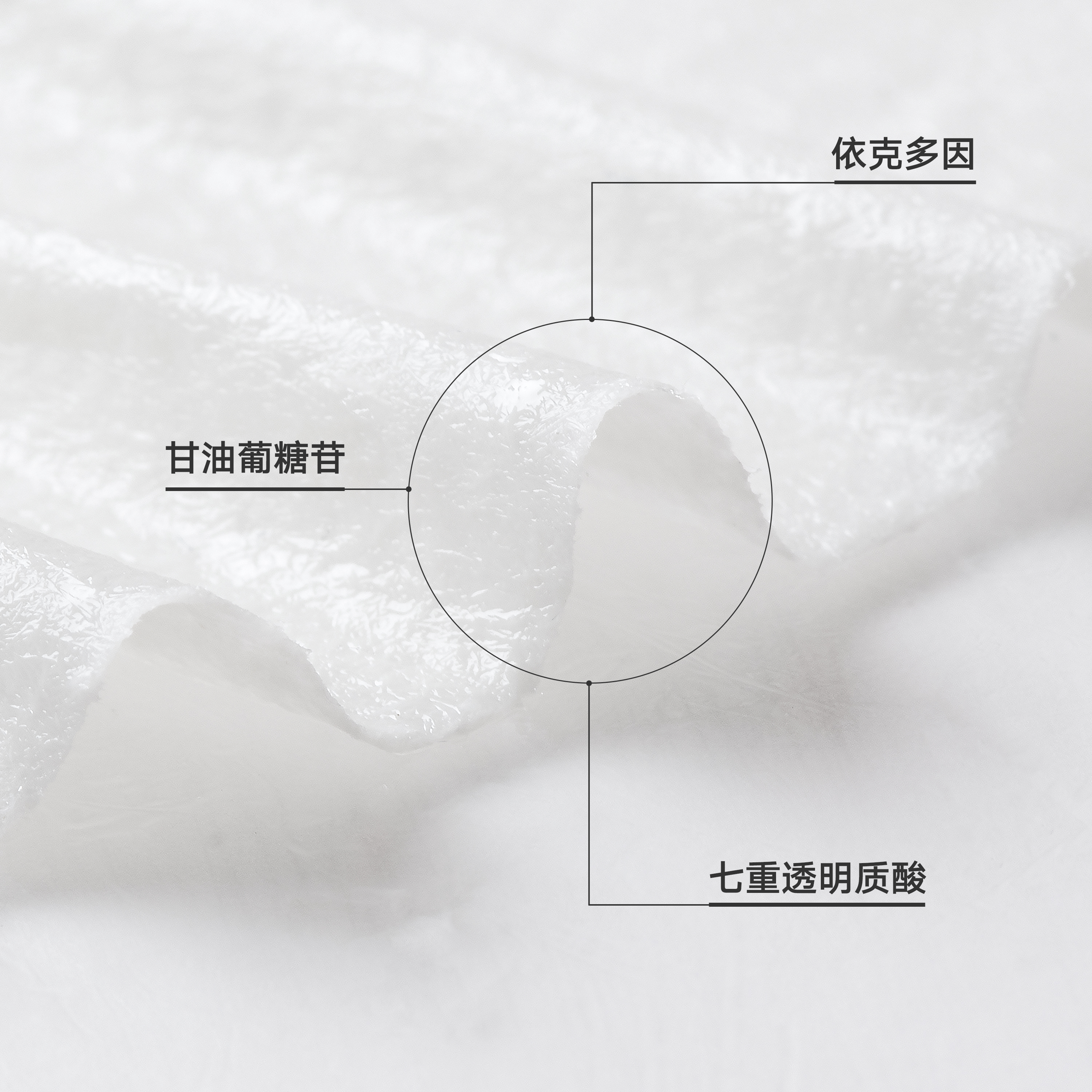 [立即选购]雏菊的天空朝兰白露面膜买5盒送5盒 到手10盒