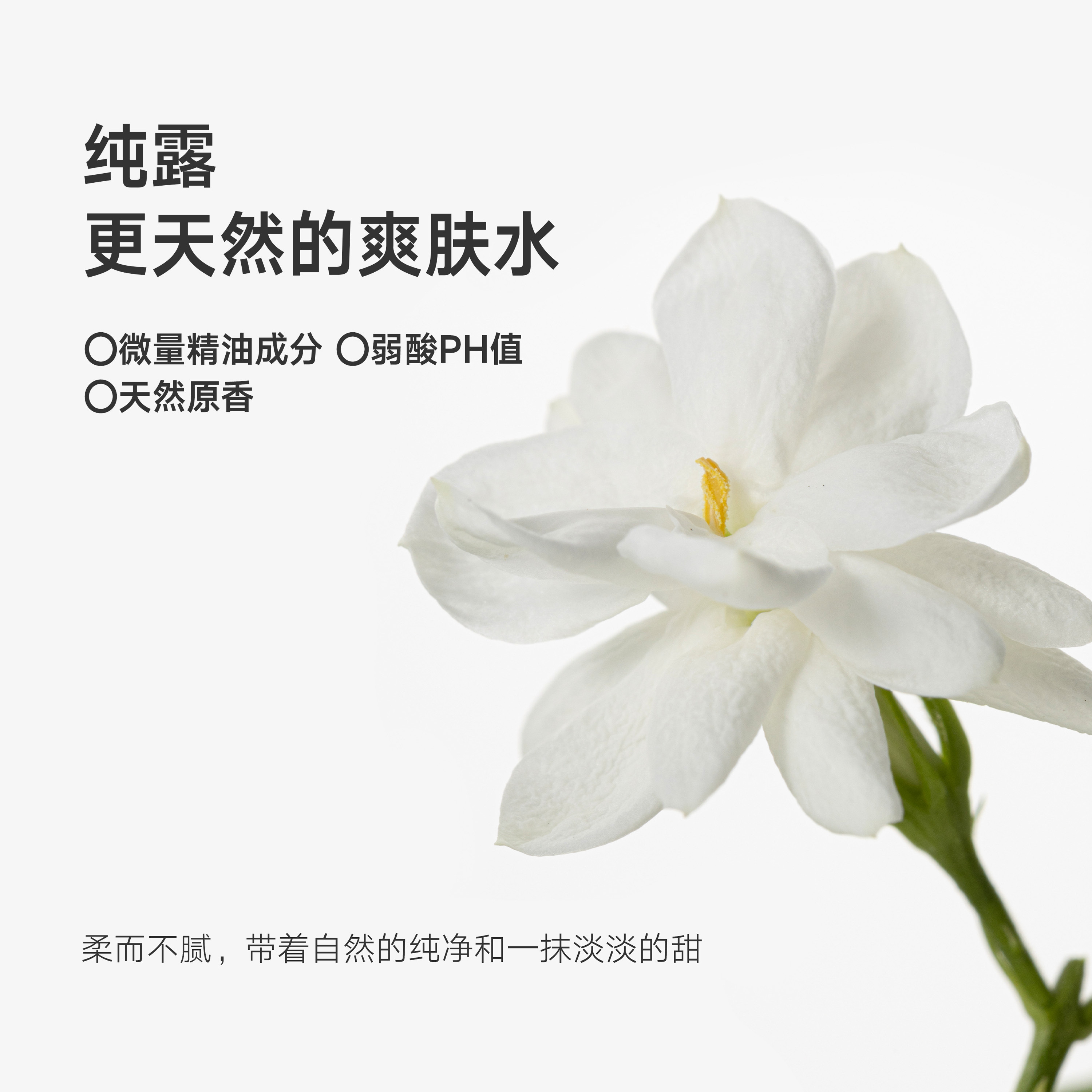 【立即选购】雏菊的天空小花茉莉纯露补水喷雾爽肤水湿敷水护肤,淘宝优惠券,粉丝福利购,淘宝优惠卷