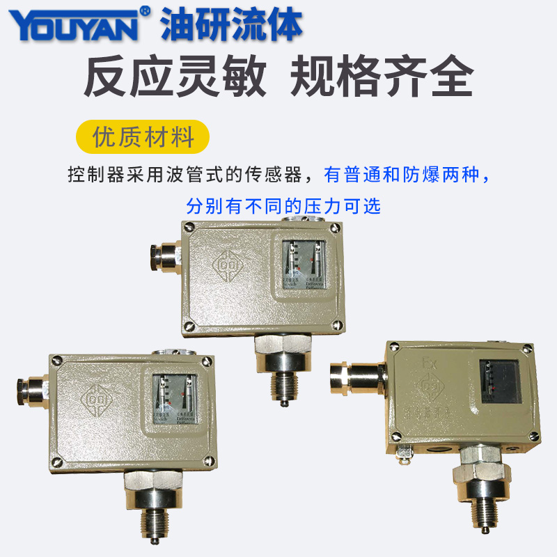 D511/7DK/7D7DZ防爆0811211压力0811711开关0851981控制器0810313 - 图1