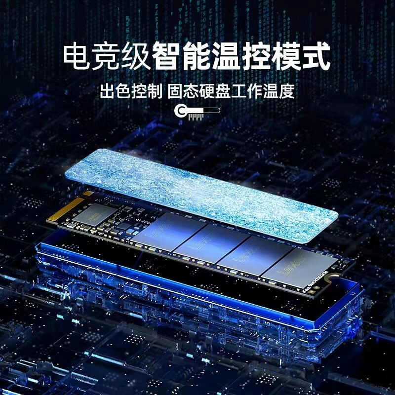 雷克沙NM620 M.2固态硬盘1T 512g台式机Nvme硬盘2T笔记本电脑SSD - 图2