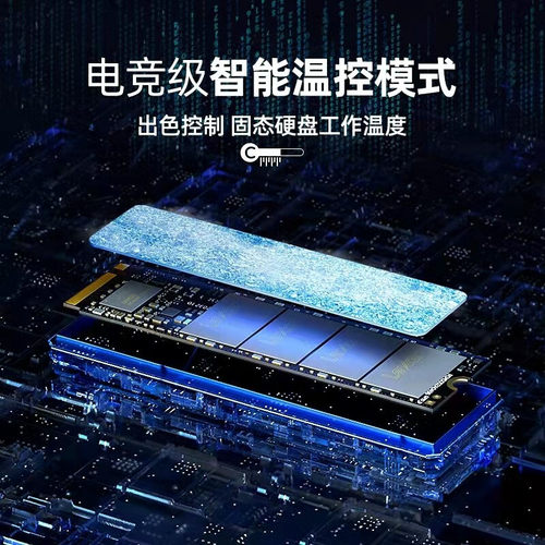 雷克沙NM620 M.2固态硬盘1T 512g台式机Nvme硬盘2T笔记本电脑SSD - 图2