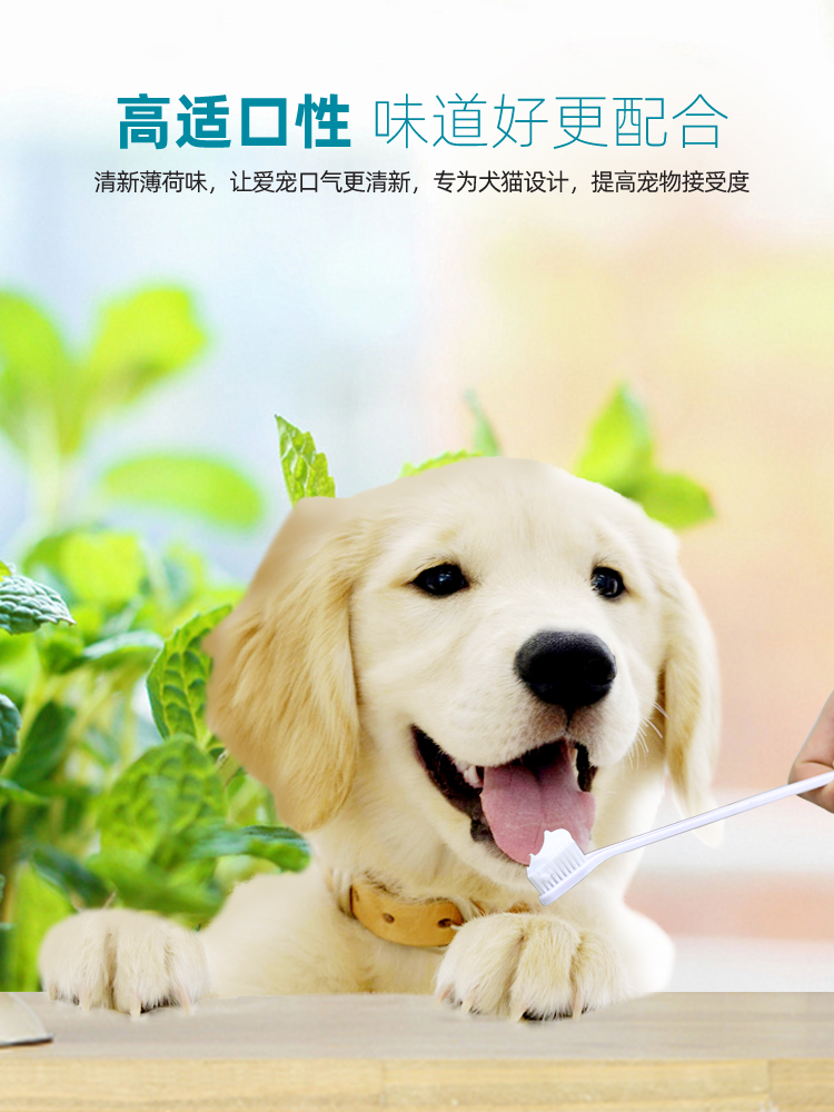 派锐狗狗牙膏牙刷可食用套装口腔清洁用品猫狗通用90g