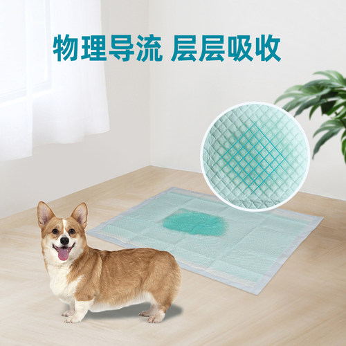 派锐宠物尿垫加厚除臭尿垫尿片宠物隔尿垫吸水狗狗尿不湿 - 图2