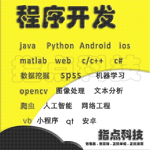 计算机python程序代做java系统设计c/c++代码编写qt开发php接单R - 图0