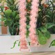 Mua hai tặng một dây đeo vai miễn phí vô hình trong suốt dây đeo vai ren ống top bra bra bra - Vai tráng dây áo trong suốt sợi bún Vai tráng