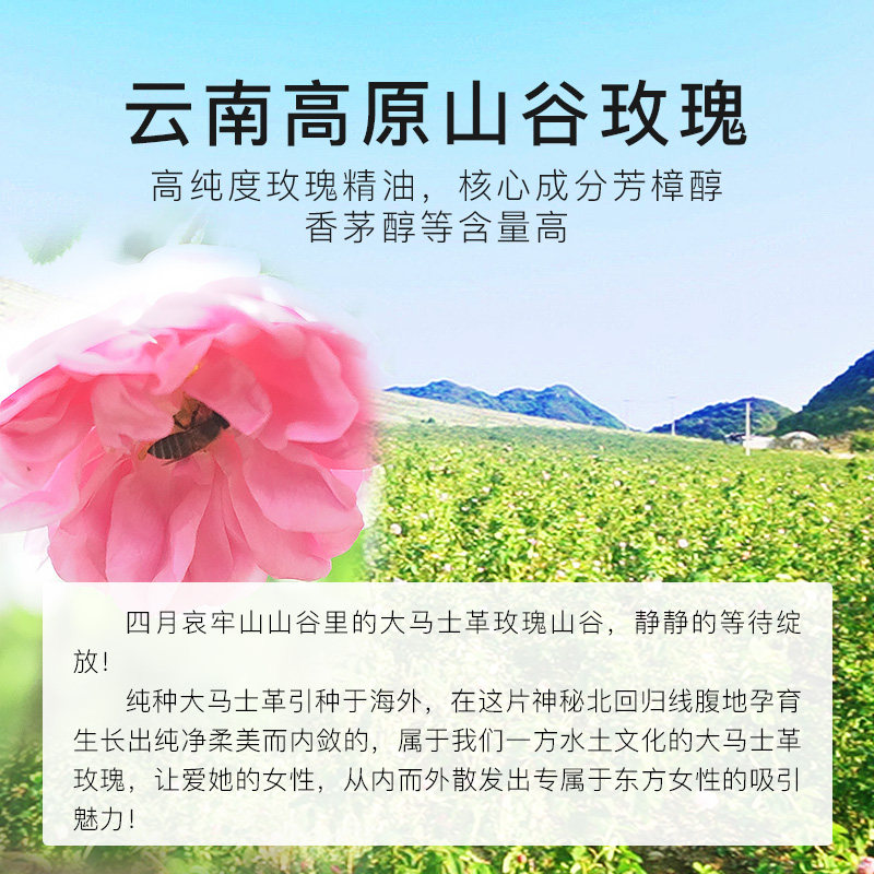 云南大马士革玫瑰精油9.99%按摩油 云妞单方精油